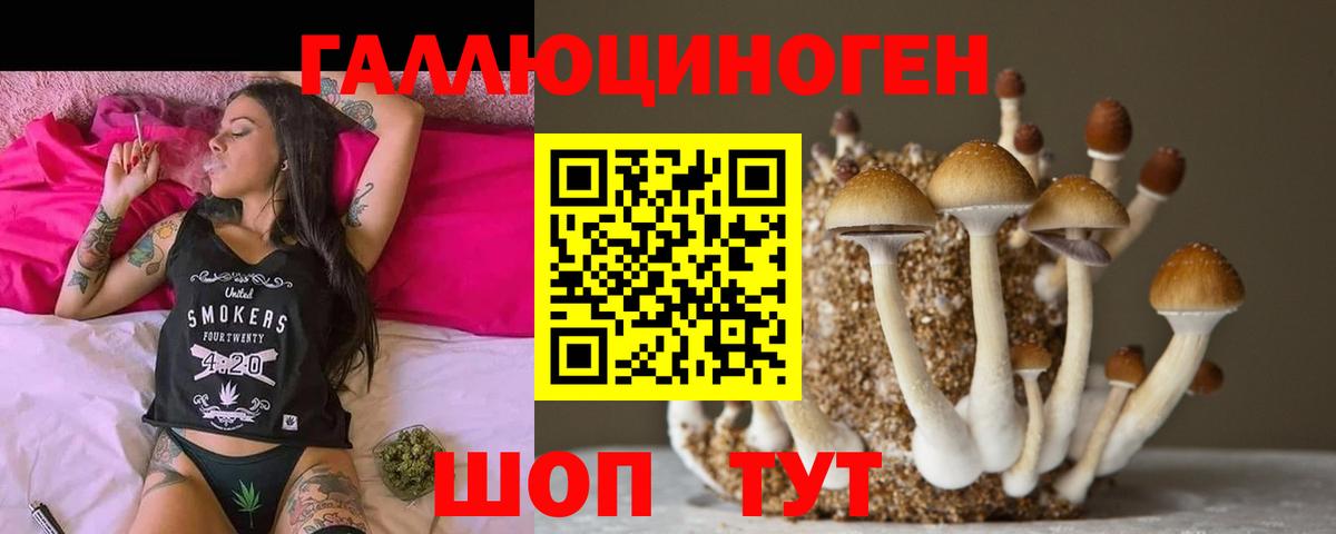 Галлюциногенные грибы Psilocybine cubensis  Псилоцибиновые грибы мухоморы  Михайловск  Вход с VPN 